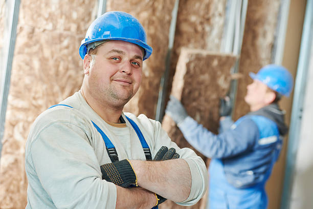 Best Insulation Maintenance and Repair in Greene, IA